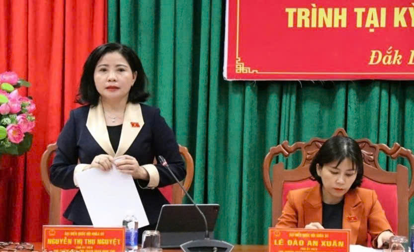 Đoàn ĐBQH tỉnh lấy ý kiến 05 dự án Luật trình kỳ họp thứ 10